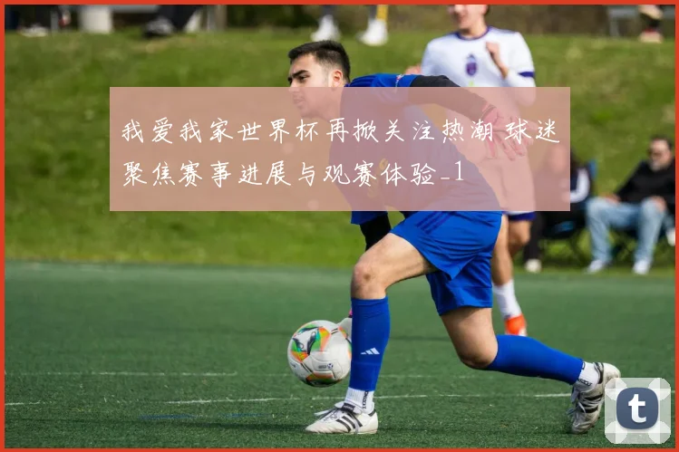 我爱我家世界杯再掀关注热潮 球迷聚焦赛事进展与观赛体验_1
