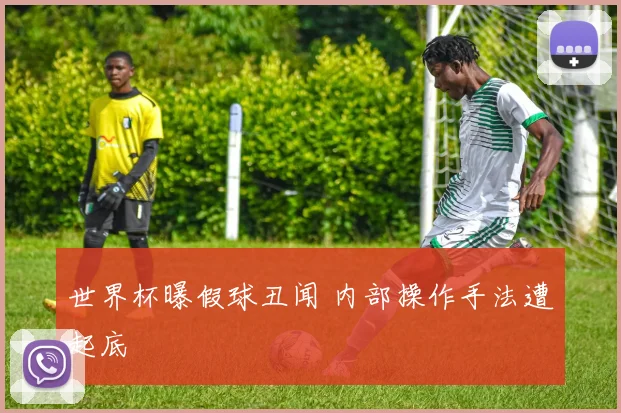 世界杯曝假球丑闻 内部操作手法遭起底