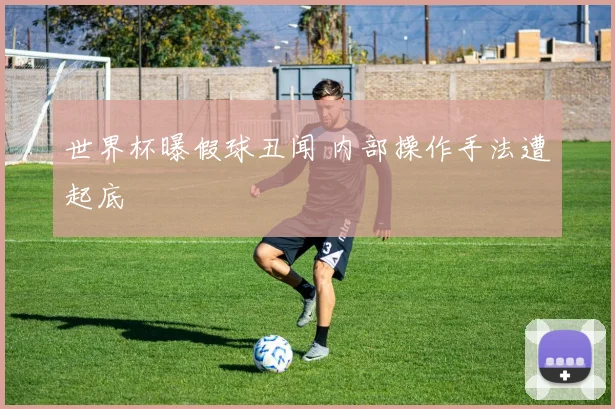 世界杯曝假球丑闻 内部操作手法遭起底