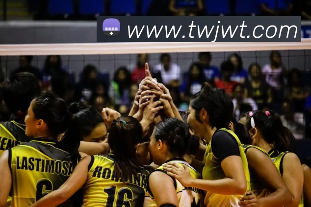 开云官方端网站登录入口 - 开云online(中国)APP 封面图